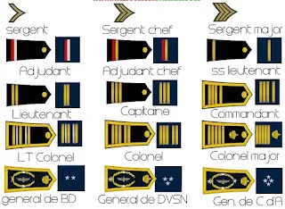 القوات الملكية الجوية FORCES ROYALES AIR